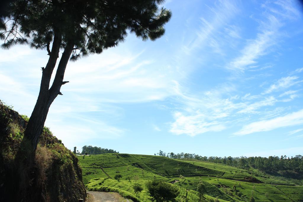 Orient Hotel Bandarawela Zewnętrze zdjęcie